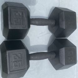 35LB Weights 