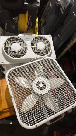 Fans
