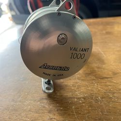 Accurate Valiant 1000.  2 Speed Fishing Reel