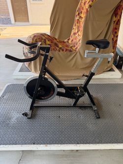 SCHWIN SPIN BIKE