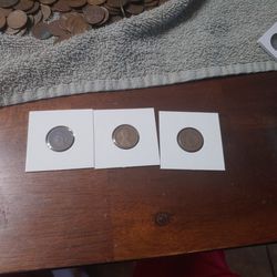 Coins In Sleves