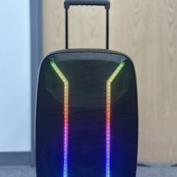 Professional Rechargeable 15" Speaker with Wireless Microphone