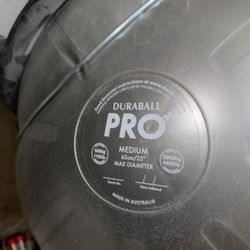 Workout Ball With Rolling Wheels