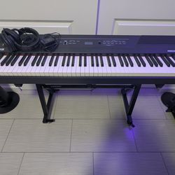 Alesis Recital Pro with Stand