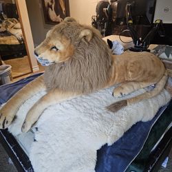 Big Life-size-like Plushy Lion
