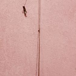 Vintage True Temper Steel Fishing Rod W/ Ocean City 1970 Reel