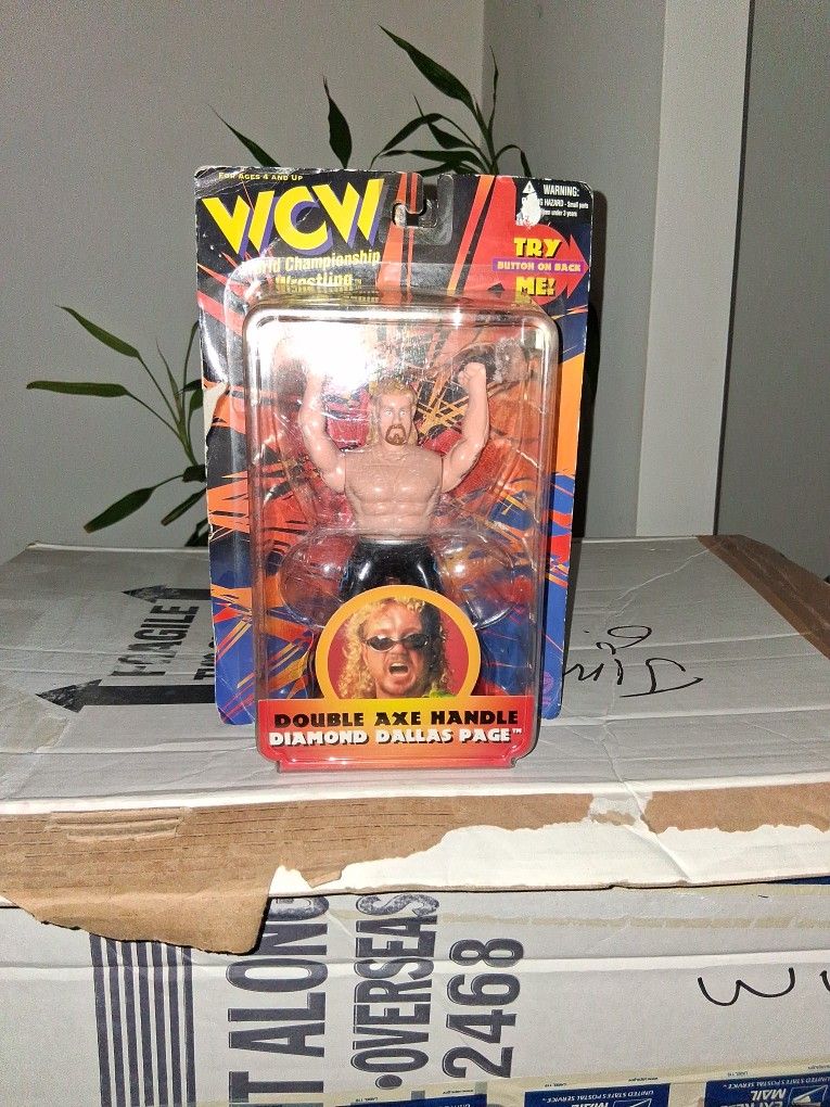 Diamond Dallas Page