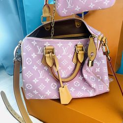 Louis Vuitton Speedy Bag 30