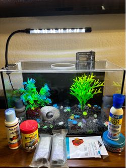 Fish aquarium