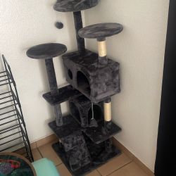Kitten Tree