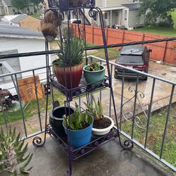 Plant Stands