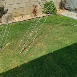 Trellis