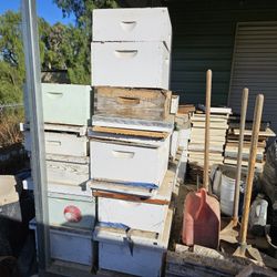 Bee Equipment