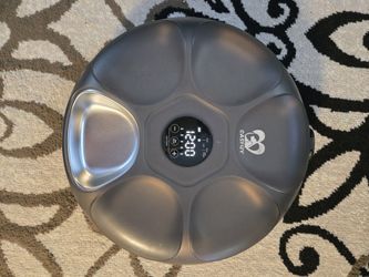 Small Dog Or Car Dish W/timer