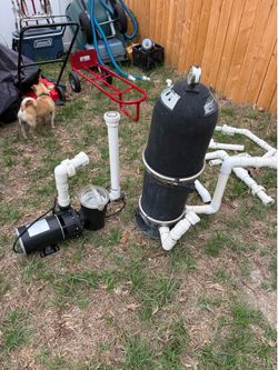 Pool pump and filter housing.