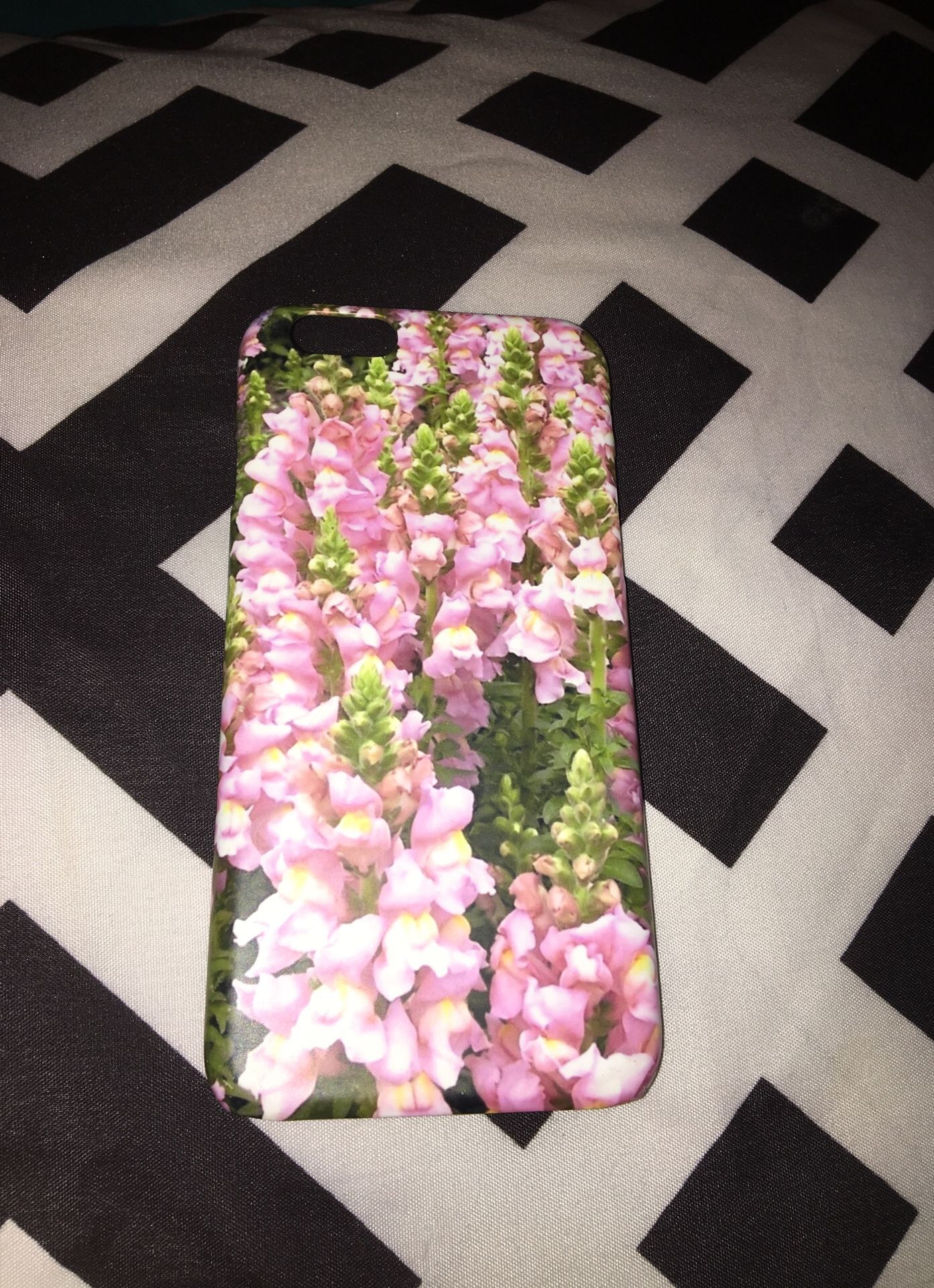 iPhone 6 case
