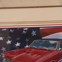 Vintage GTO  CAR PICTURE professionally Framed Make Offer