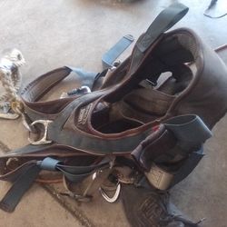 Climbing Harness