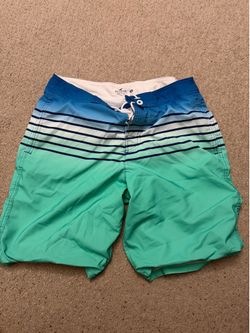 Hollister size 30 swim trunks