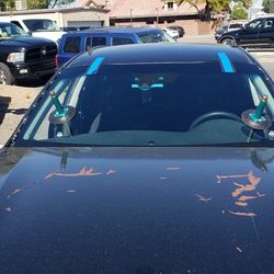 Windshield