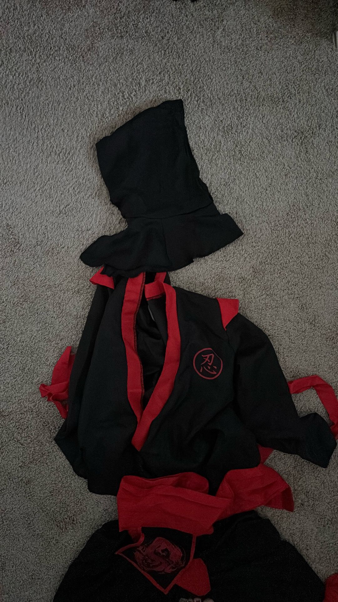 Ninja Costume