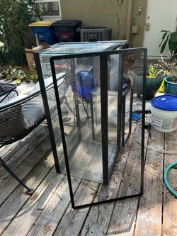 Fish/reptile aquarium
