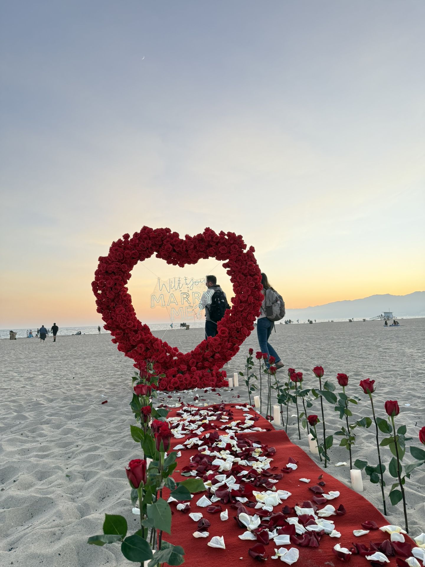 Red Proposal