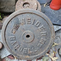Cast Iron Weights 50 Lb Plate