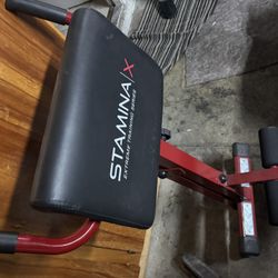 Stamina X Workout Equipment 