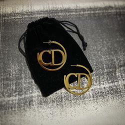 Gold Stainless Steel Earrings