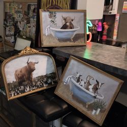 3 Cow photo art bundle