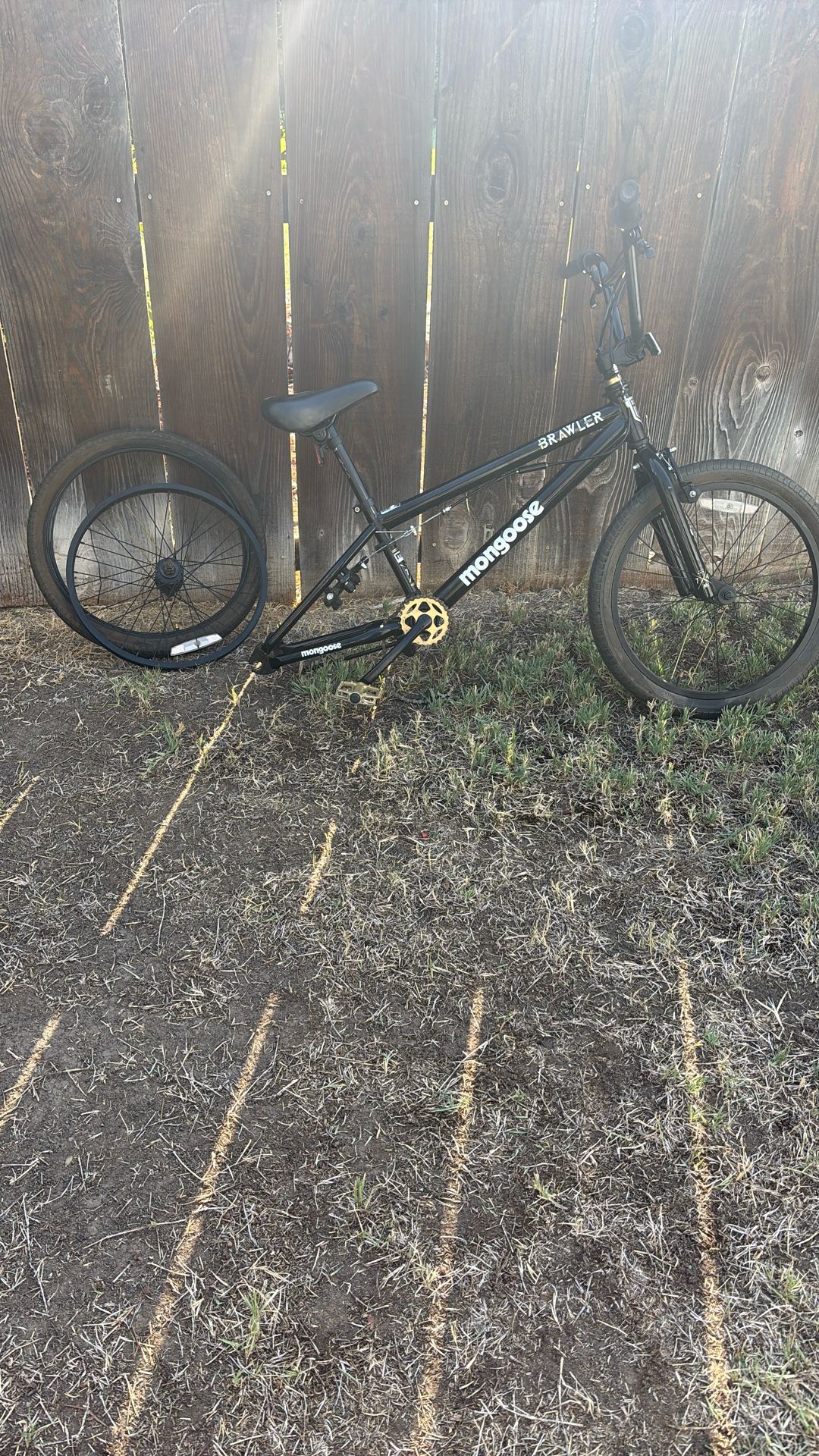 Mongoose Bike
