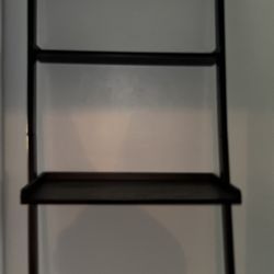 Ladder Book Shelf