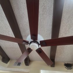 Ceiling fan with light