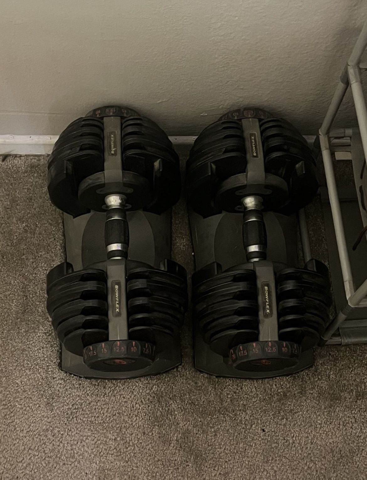 BOWFLEX  DUMBBELLS 52.2