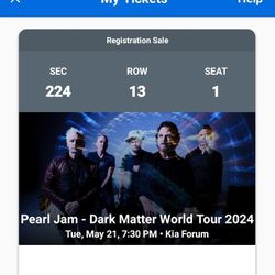 Pearl Jam Concert 