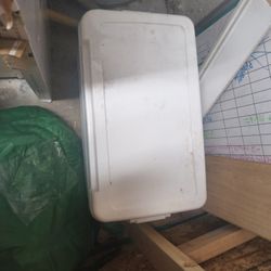 Igloo Cooler