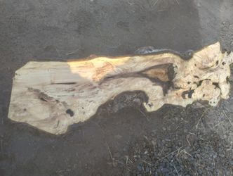 Live Edge Black Walnut