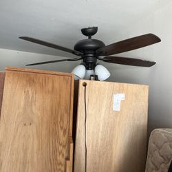 Ceiling Fans Light