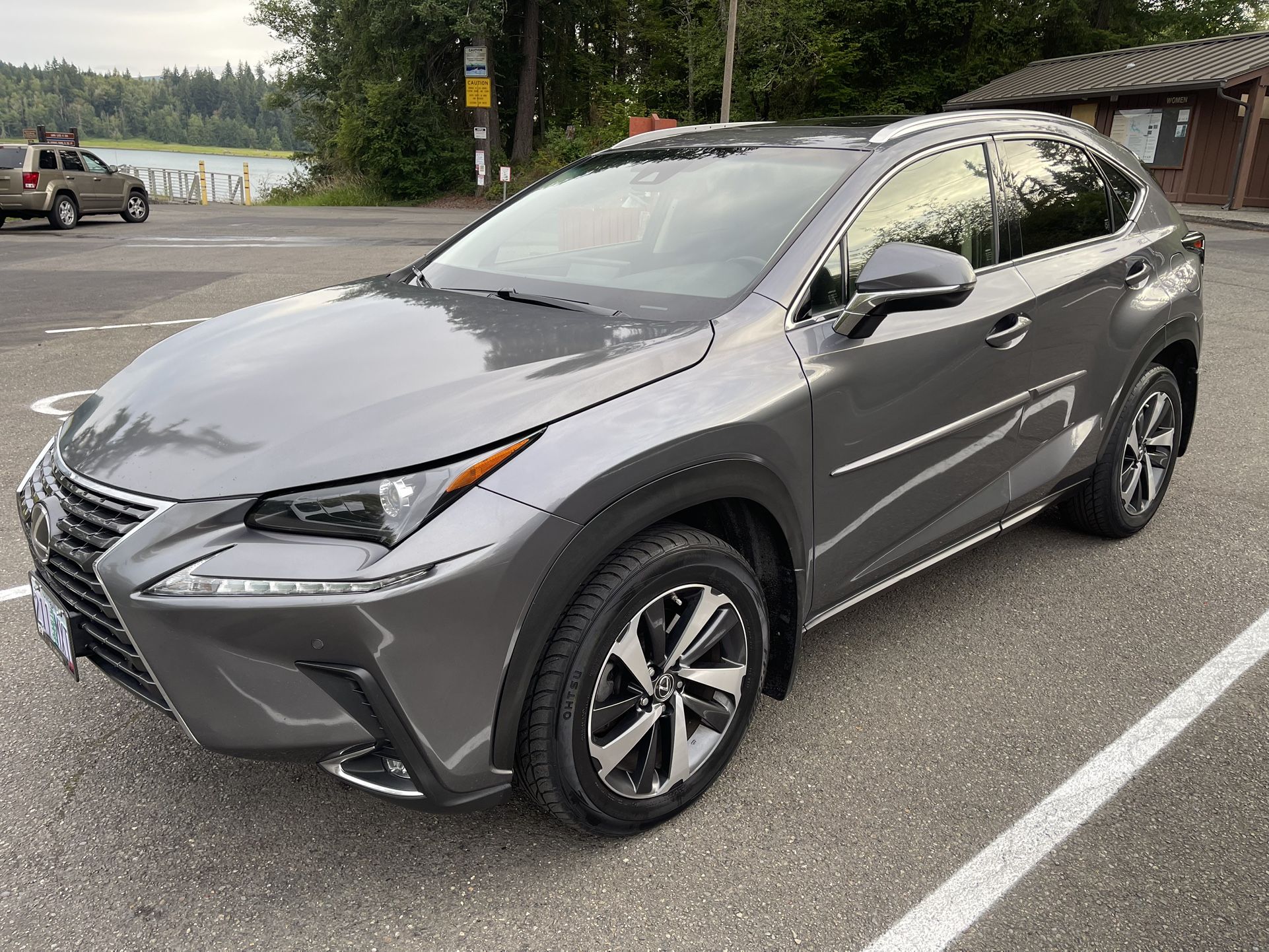 2018 Lexus NX 300