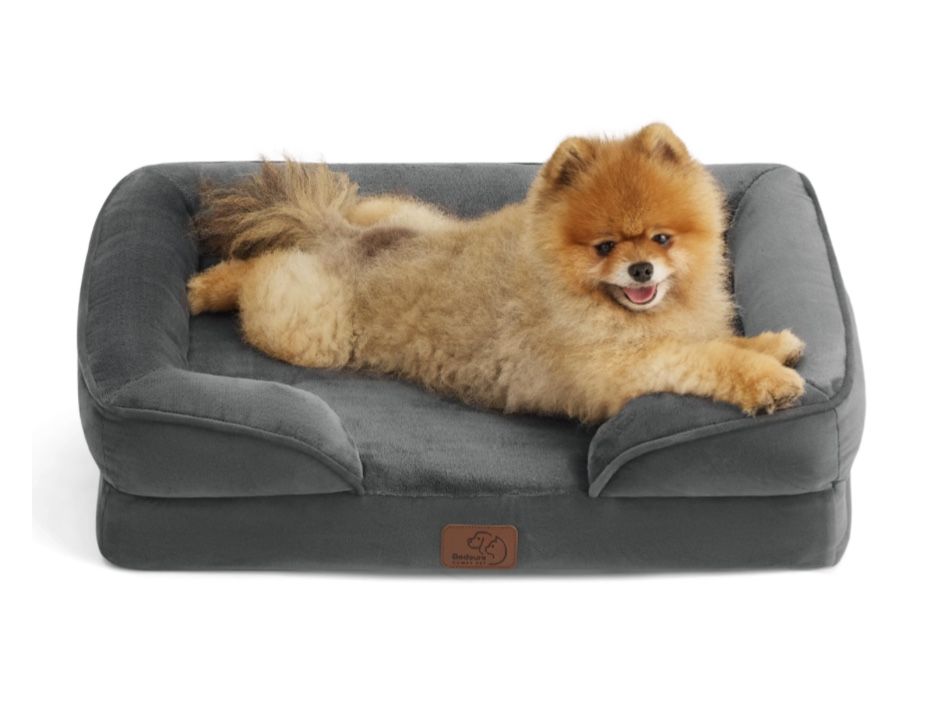Small Orthopedic Dog Bed
