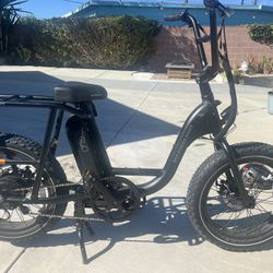 2022 RadRunner 2 E-Bike