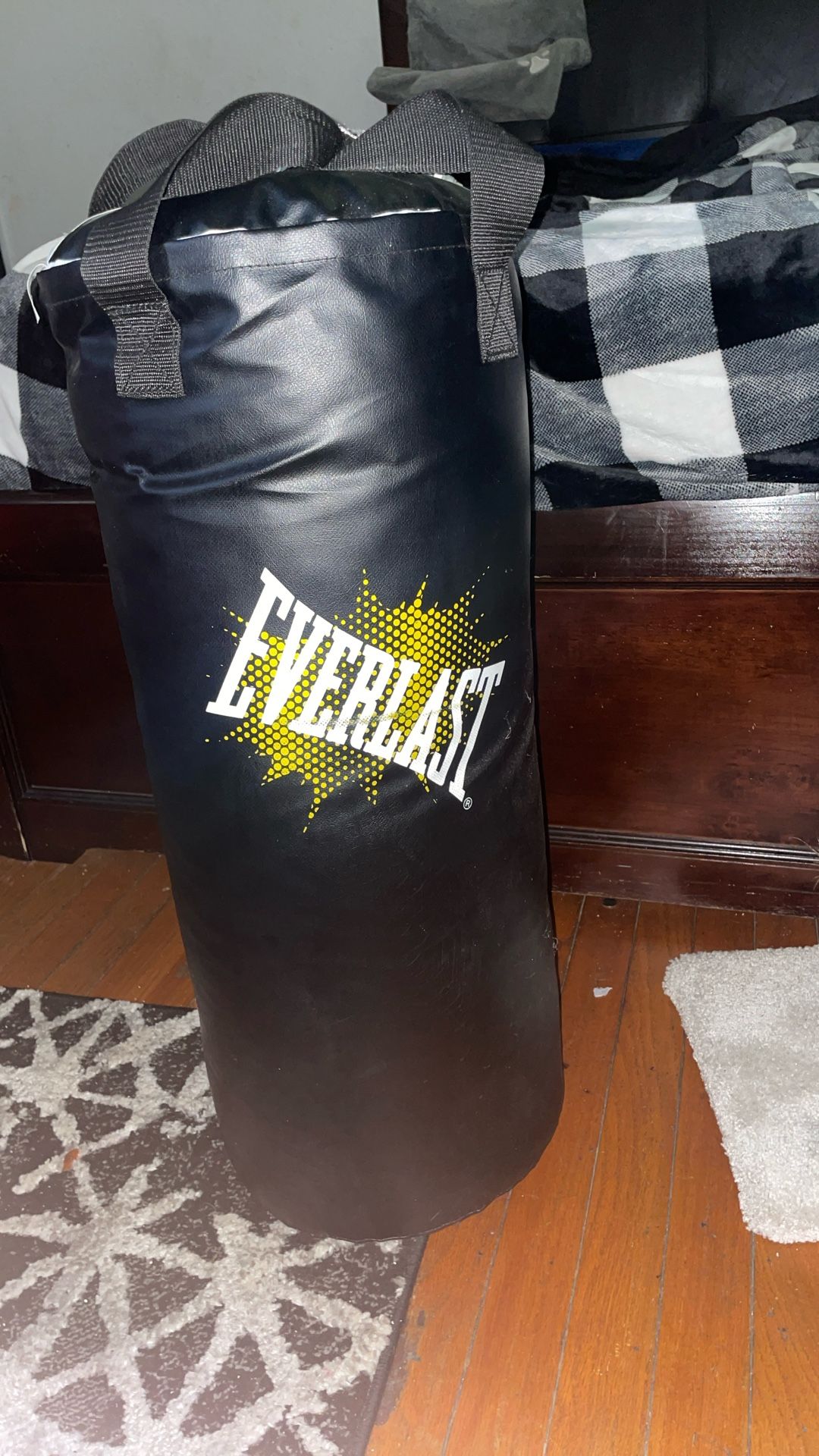 Everlast Punching Bag
