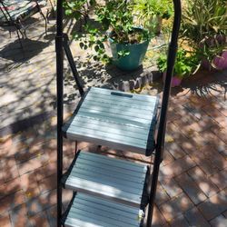 Cosco Ladder