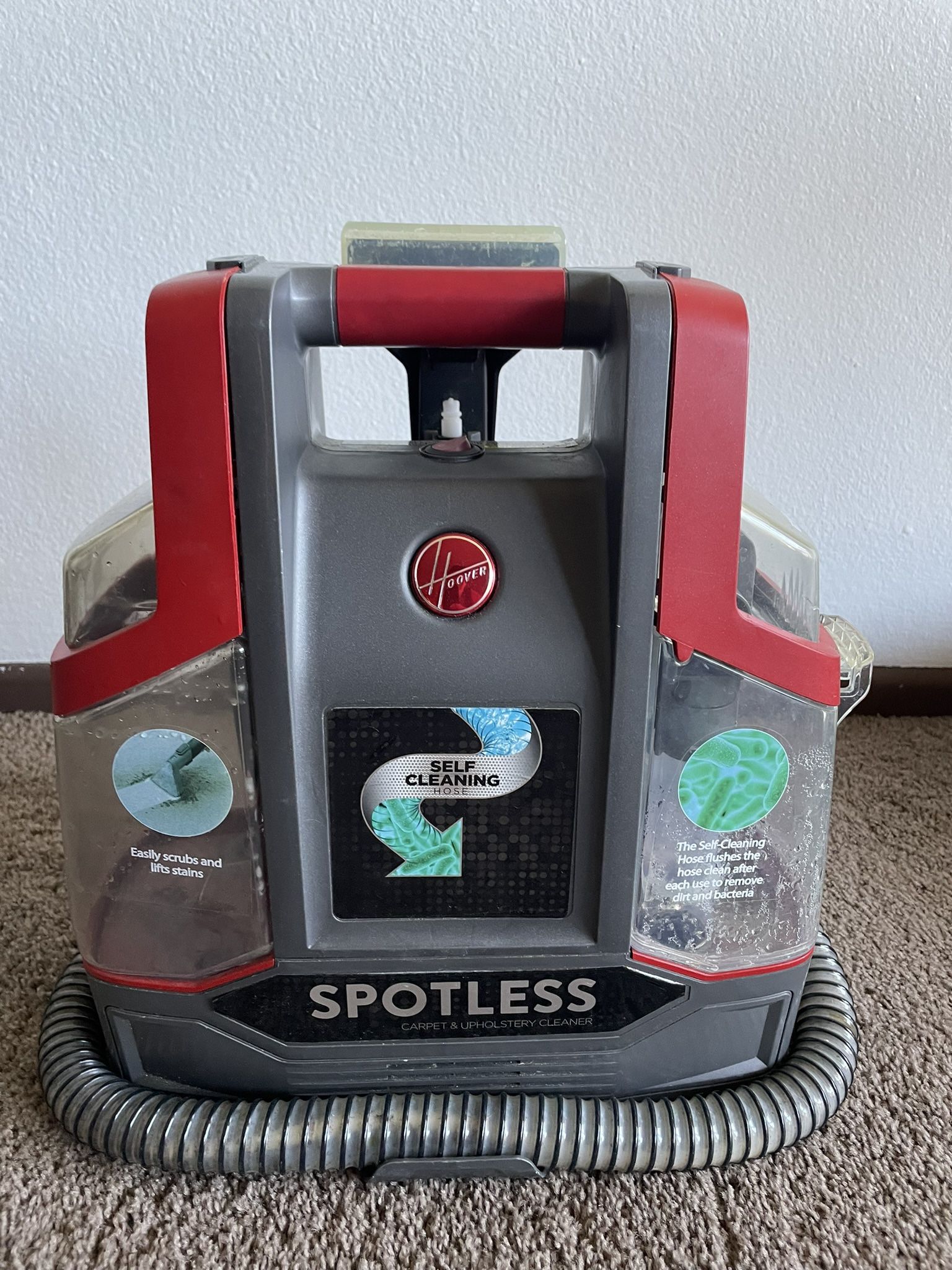 Hoover Pet Stain Remover