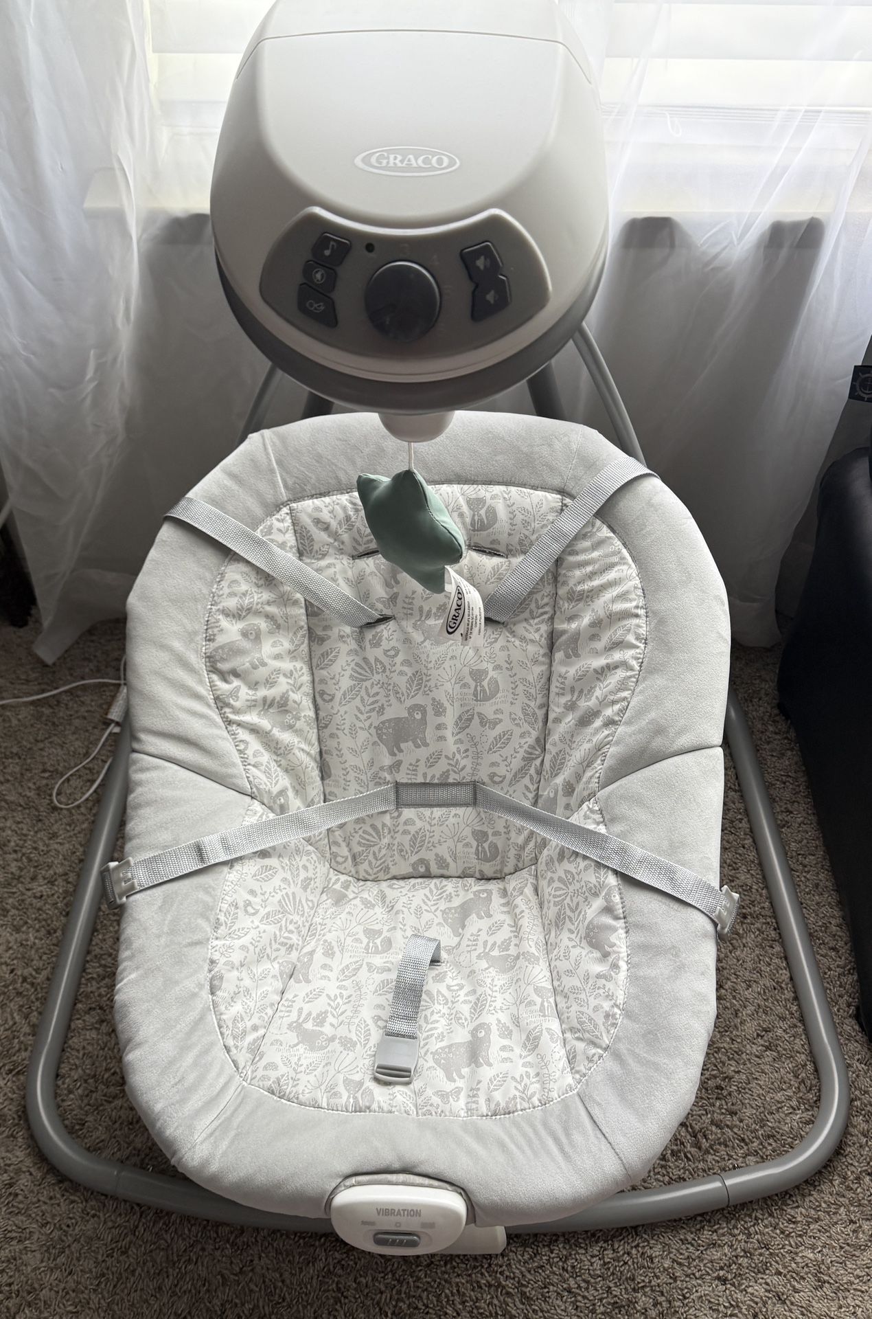 Graco Infant Swing