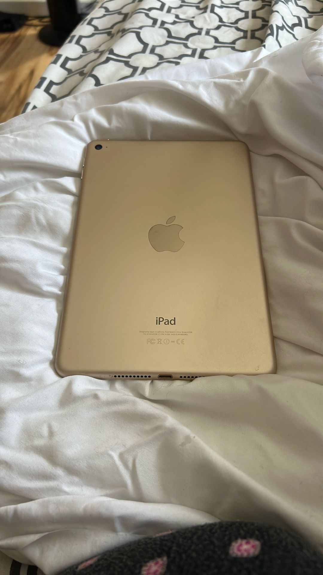 Ipad Mini 4