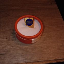 SNEA/AFSCME Retire Lapel Pin