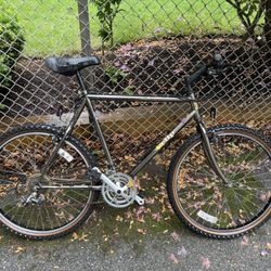 Eclipse 200GS Shimano Rapid Fire Unisex Bike 