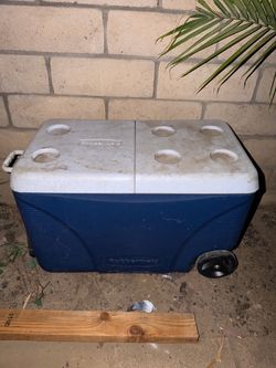 Cooler